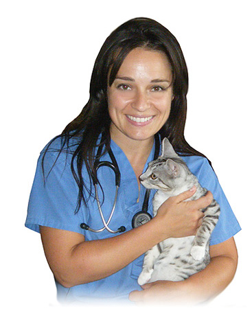 Dr. Laura Palumbo - Mobile Veterinarian -  London, Ontario